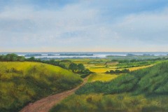 Meandering to the Shore : An original painting by Sue Thomas